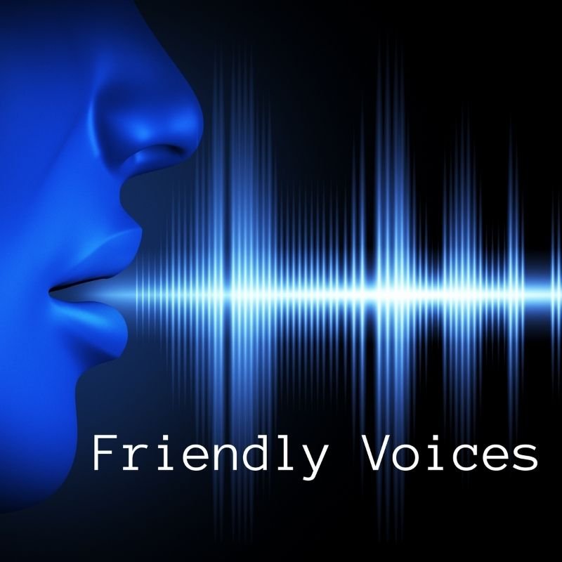 Friendly Voices - electronic music by Serole | Magnimel Arts