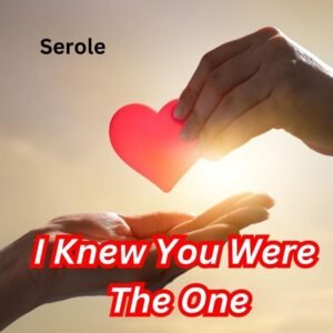I Knew You Were The One - Love song by SeRoLe | Magnimel Arts
