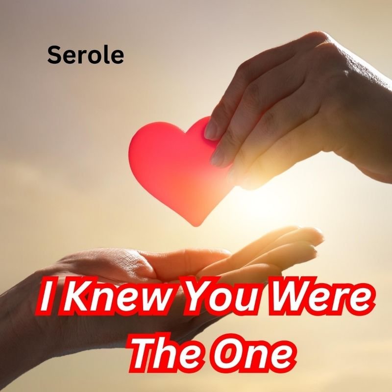 I knew you were the one - romantic music by Serole | Magnimel arts