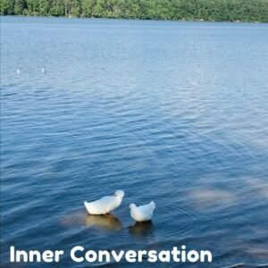 Inner Conversation - introspective music single by SeRoLe | Magnimel Arts