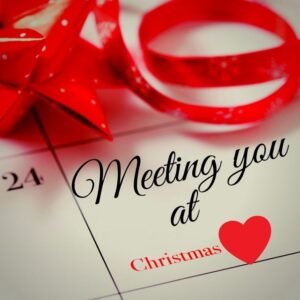 Meeting you at Christmas - festivity song by SeRoLe | Magnimel Arts