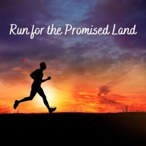 Run for the Promised Land - motivational music single by SeRoLe | Magnimel Artsrts