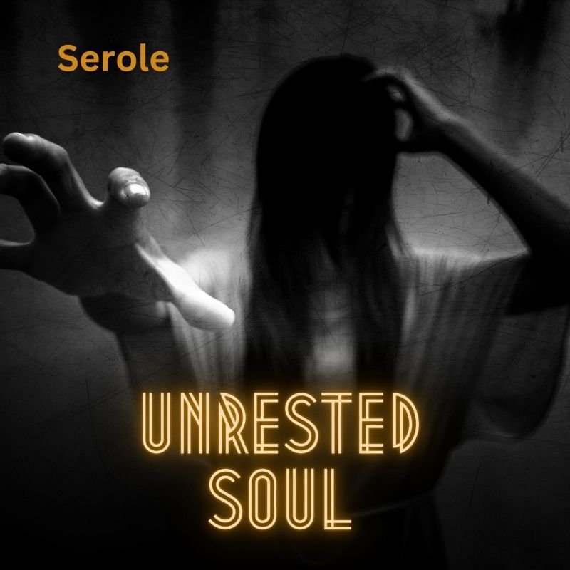 Unrested soul - neoclassical music by Serole | Magnimel Arts