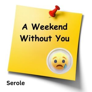 A Weekend Without You - sad music single by SeRoLe | Magnimel Arts
