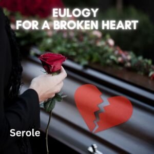 Eulogy for a Broken Heart - heartfelt music single by SeRoLe | Magnimel Arts