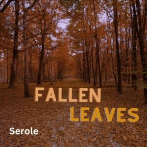 Fallen Leaves - evergreen music single by SeRoLe | Magnimel Arts