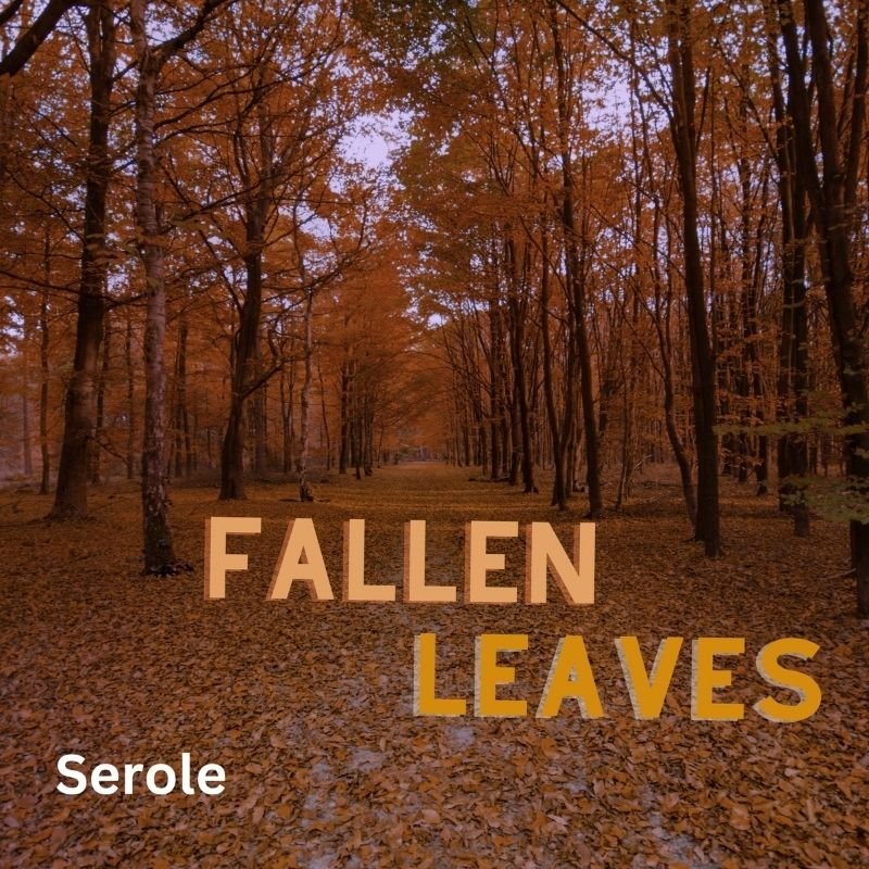 Fallen Leaves - atmospheric music by Serole | Magnimel Arts