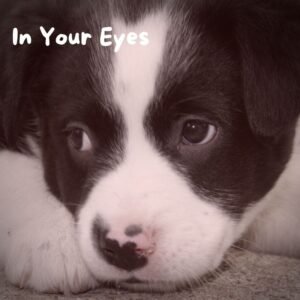 In Your Eyes - emotional music single by SeRoLe | Magnimel Arts