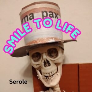 Smile to Life - corporate music single by SeRoLe | Magnimel Arts