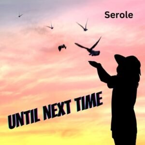 Until Next Time - pensive music single by SeRoLe | Magnimel Arts